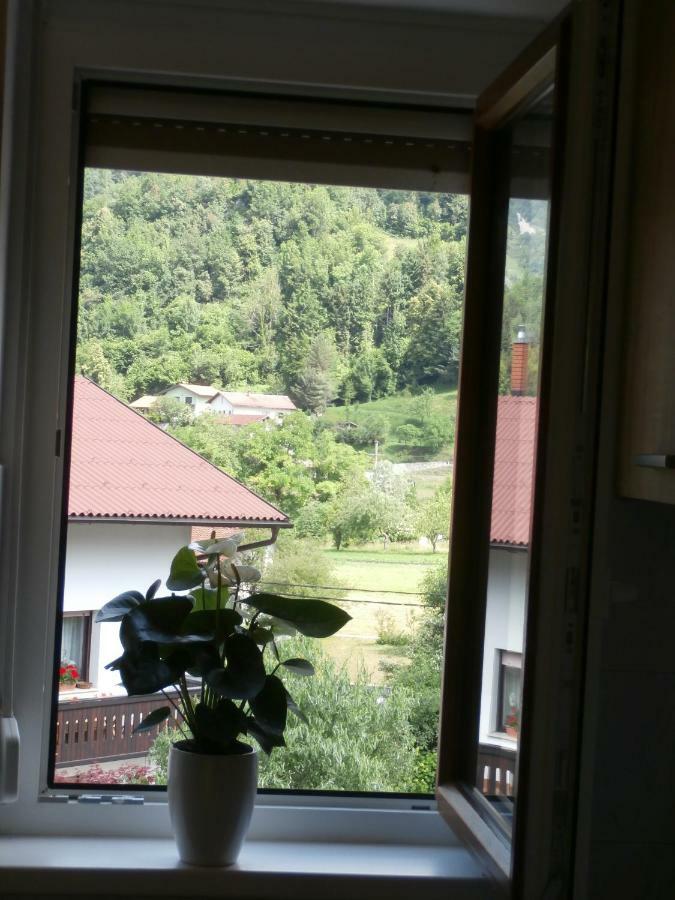 Apartma Ana Dreznica Kobarid Esterno foto